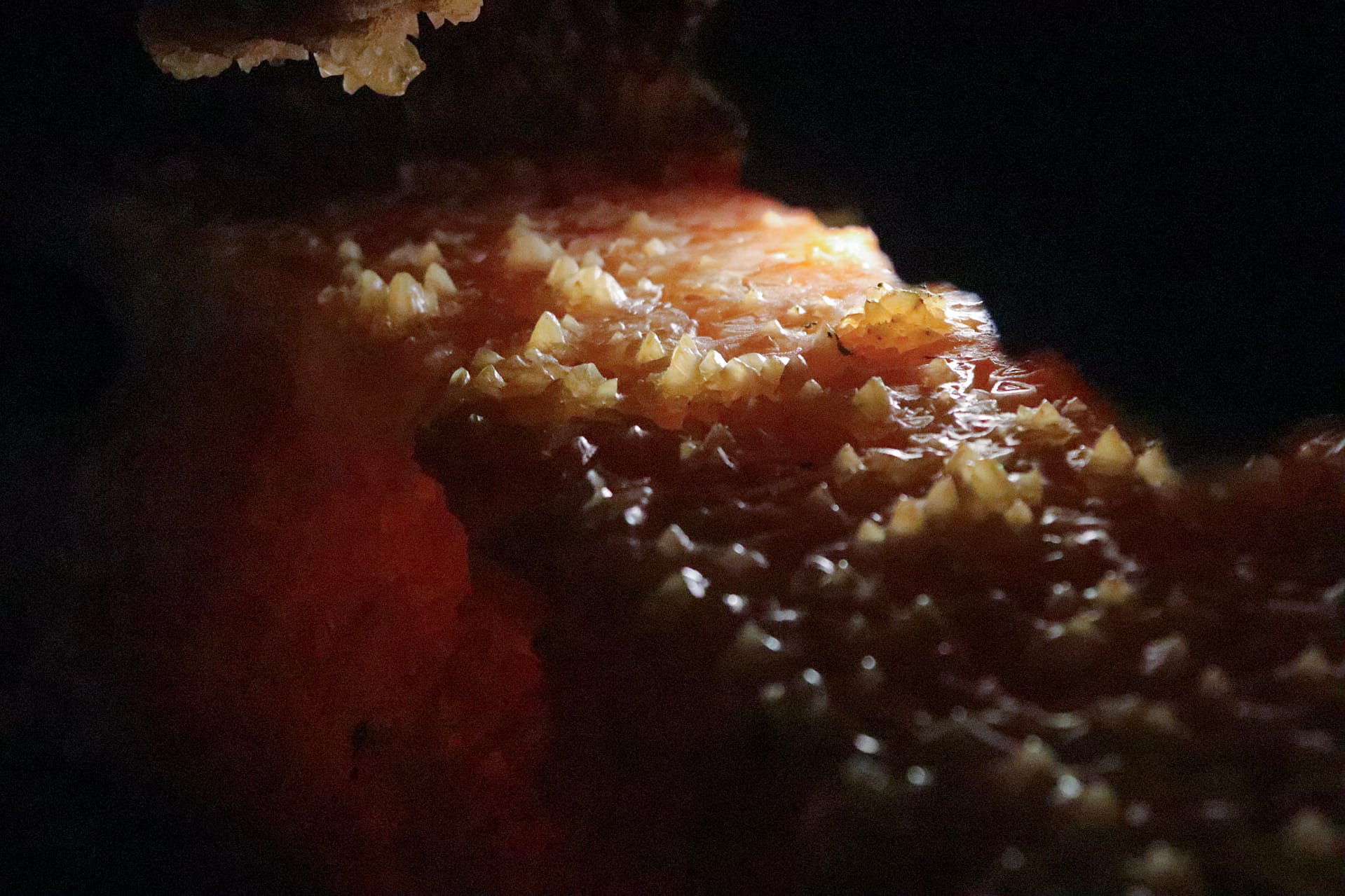 Fascinating caves in the Dordogne Cave minerals in the Dordogne