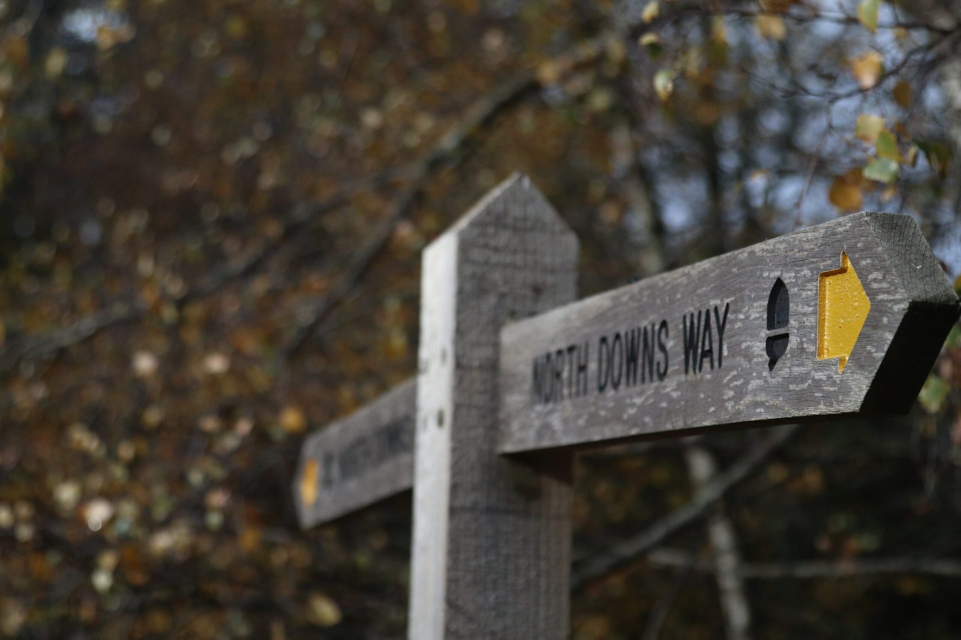 Local walks hiking travel blog