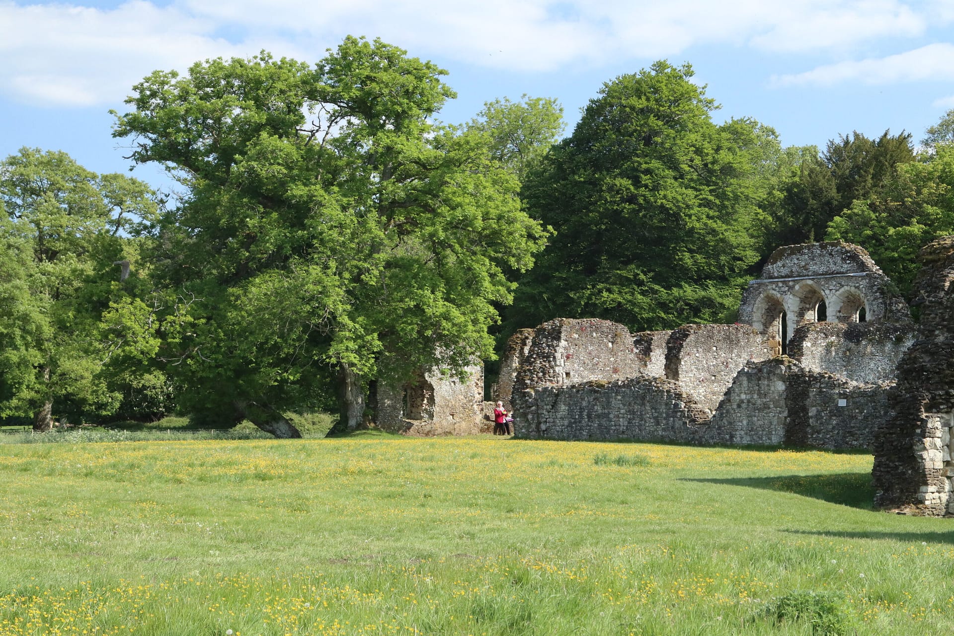 waverley abbey walk